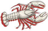 Winola Farm Lobster